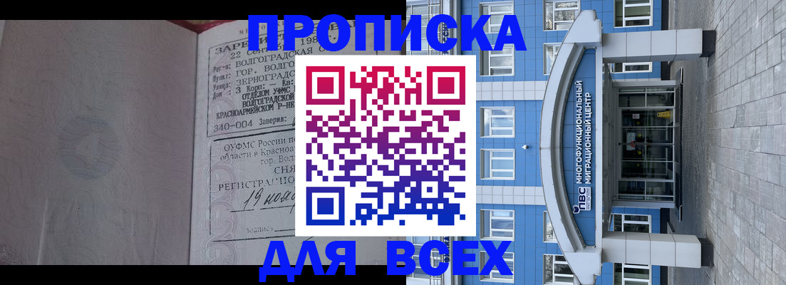 временная регистрация для всех в Щёлково