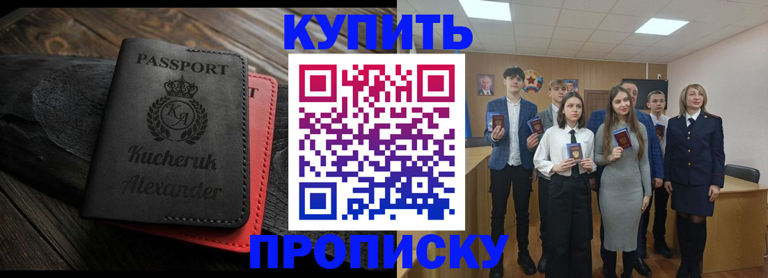 временная прописка в Щёлково